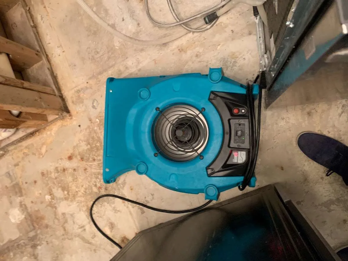 Air mover drying equipment for Mold Remediation & Removal in Orangeburg
